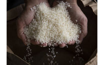 【定期便】【令和7年産新米】厳選こだわり南魚沼産コシヒカリ「こまがた農園のお米」&nbsp;4kg(2kg×2袋)×12回