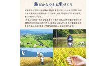佐渡島産ゆうだい21 白米10Kg（5Kg×2袋） 令和7年産