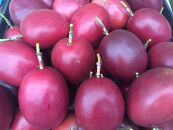 農家謹製☆パッションフルーツジュース（３本入）|果物&nbsp;パッションフルーツ&nbsp;南国&nbsp;トロピカルフルーツ&nbsp;ジュース&nbsp;飲み物&nbsp;飲料&nbsp;フルーツジュース&nbsp;国産&nbsp;健康&nbsp;夏