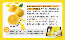 湘南ゴールドシロップセット