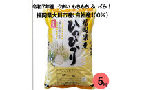 福岡県産米&nbsp;ひのひかり&nbsp;5kg&nbsp;（福岡県&nbsp;大川市産）