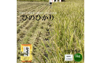 福岡県産米&nbsp;ひのひかり&nbsp;5kg&nbsp;（福岡県&nbsp;大川市産）