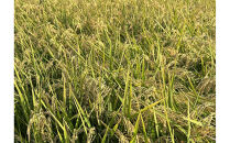 福岡県産米&nbsp;ひのひかり&nbsp;10kg&nbsp;（福岡県&nbsp;大川市産）