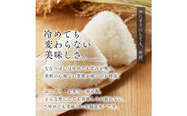 令和7年産 金王冠 精米 北海道産 ななつぼし 5kg