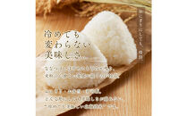 令和7年産 金王冠 無洗米 北海道産 ななつぼし 5kg