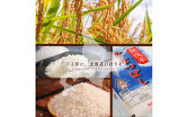 令和7年産 金王冠 無洗米 北海道産 ななつぼし 5kg