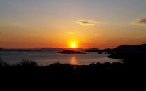 先行予約&nbsp;ジェイさんのオリーブオイル《ミッション種》105g×1本&nbsp;（簡易包装）&nbsp;コンパニョーニファームズ&nbsp;エキストラバージンオイル&nbsp;&nbsp;2025年秋収穫&nbsp;100％小豆島産&nbsp;手摘み