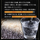 【数量限定】芋焼酎　シン・コゾノ　ファイナルエディション　2本セット