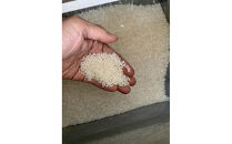 1261.＜令和７年産＞&nbsp;たかた農園のお米「きぬむすめ」はでかけ　天日干し【精米10kg】