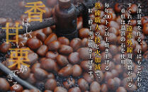 無添加 大粒天津甘栗 4.5kg 【沖縄県・離島配送不可】