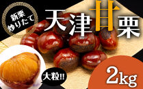 無添加 大粒天津甘栗 2kg 【沖縄県・離島配送不可】