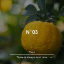 ヒーリングバスソルトNo.03　ユズ　450g