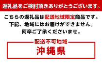 【2026年発送】こだわりの樹上完全着色「九度山の富有柿」2Lサイズ12玉
