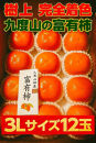 【2026年発送】こだわりの樹上完全着色「九度山の富有柿」3Lサイズ12玉
