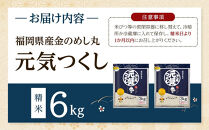 ＜令和7年産＞福岡県産金のめし丸元気つくし　6kg(3kg×2袋)