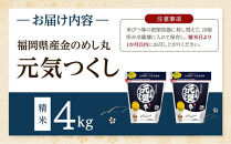 ＜令和7年産＞福岡県産金のめし丸元気つくし　4kg(２kg×２袋)