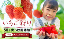 【いちご狩り】50分食べ放題体験　平日/大人（中学生以上）【いちご&nbsp;苺&nbsp;苺狩り&nbsp;フルーツ&nbsp;果物&nbsp;体験券&nbsp;岡山市&nbsp;岡山県&nbsp;おすすめ&nbsp;人気&nbsp;食べ放題&nbsp;岡山いちご狩り】