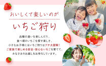 【いちご狩り】50分食べ放題体験　平日/大人（中学生以上）【いちご&nbsp;苺&nbsp;苺狩り&nbsp;フルーツ&nbsp;果物&nbsp;体験券&nbsp;岡山市&nbsp;岡山県&nbsp;おすすめ&nbsp;人気&nbsp;食べ放題&nbsp;岡山いちご狩り】