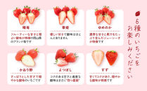 【いちご狩り】50分食べ放題体験　平日/大人（中学生以上）【いちご&nbsp;苺&nbsp;苺狩り&nbsp;フルーツ&nbsp;果物&nbsp;体験券&nbsp;岡山市&nbsp;岡山県&nbsp;おすすめ&nbsp;人気&nbsp;食べ放題&nbsp;岡山いちご狩り】