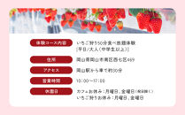【いちご狩り】50分食べ放題体験　平日/大人（中学生以上）【いちご&nbsp;苺&nbsp;苺狩り&nbsp;フルーツ&nbsp;果物&nbsp;体験券&nbsp;岡山市&nbsp;岡山県&nbsp;おすすめ&nbsp;人気&nbsp;食べ放題&nbsp;岡山いちご狩り】
