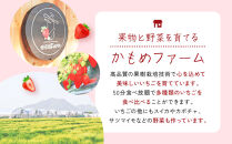 【いちご狩り】50分食べ放題体験　土日祝/大人（中学生以上）【いちご&nbsp;苺&nbsp;苺狩り&nbsp;フルーツ&nbsp;果物&nbsp;体験券&nbsp;岡山市&nbsp;岡山県&nbsp;おすすめ&nbsp;人気&nbsp;食べ放題&nbsp;岡山いちご狩り】