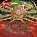 境港産&nbsp;松葉ガニ500g（活冷）訳あり