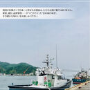 境港産&nbsp;松葉ガニ500g（活冷）訳あり