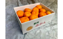 【2025年12月下旬～2月上旬発送】甘い青島みかん2.5kg　静岡県より産地直送◇