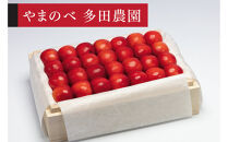 ＜先行予約＞【特選やまがた紅王】桐箱詰&nbsp;約500g【やまのべ多田耕太郎のさくらんぼ&nbsp;多田農園】