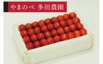 ＜先行予約＞【特選やまがた紅王】桐箱詰&nbsp;約700g【やまのべ多田耕太郎のさくらんぼ&nbsp;多田農園】