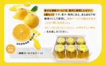 湘南ゴールドゼリー6個セット