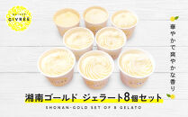 湘南ゴールドジェラート8個セット
