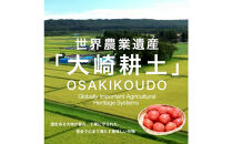 【糖度7度以上！】甘い★麗月トマト3ｋｇ