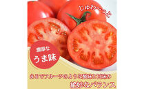 【糖度7度以上！】甘い★麗月トマト4ｋｇ