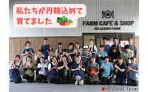 【糖度7度以上！】甘い★麗月トマト4ｋｇ