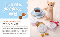 子猫のブランシュ缶クッキー　紅茶