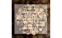 岡山珈琲&nbsp;アロマ焙煎・マイルド焙煎&nbsp;〈挽〉100g×2