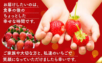 【ふるさと納税】OneBerry&nbsp;いちご農園&nbsp;品種おまかせ&nbsp;旬のいちご&nbsp;250ｇ×&nbsp;4パック【2026年1月5日以降順次発送】&nbsp;｜&nbsp;いちご&nbsp;イチゴ&nbsp;苺&nbsp;宮城県&nbsp;限定&nbsp;産地直送&nbsp;産直&nbsp;農家直送&nbsp;角田市