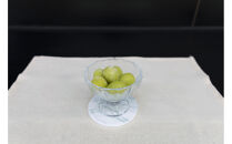 SANUKIFROZEN&nbsp;シャインマスカット&nbsp;100g×8袋