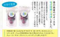 SANUKIFROZEN&nbsp;ピオーネ&nbsp;60g×8袋