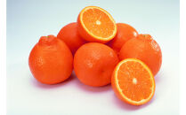 SANUKIFROZEN&nbsp;デコポン&nbsp;60g×8袋