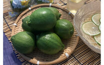 SANUKIFROZEN&nbsp;璃の香&nbsp;500g×4袋