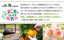 SANUKIFROZEN&nbsp;璃の香&nbsp;500g×4袋