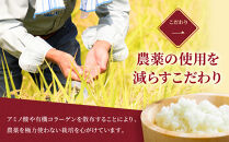 令和8年産　ゆめぴりか&nbsp;5kg×1袋&nbsp;5kg&nbsp;&nbsp;【&nbsp;&nbsp;特A&nbsp;北海道産&nbsp;白米&nbsp;精米&nbsp;ご飯&nbsp;ごはん&nbsp;米&nbsp;5kg&nbsp;お米&nbsp;ゆめぴりか&nbsp;&nbsp;旭川市ふるさと納税&nbsp;北海道ふるさと納税&nbsp;旭川市&nbsp;北海道&nbsp;】_05232