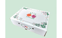 【2026年発送分&nbsp;先行受付】パッションフルーツ&nbsp;化粧箱15個入り(M玉)×２箱【たけはら農園】｜果物&nbsp;パッションフルーツ&nbsp;酸味&nbsp;甘み&nbsp;プチプチ&nbsp;奄美&nbsp;鹿児島&nbsp;美味しい&nbsp;旬&nbsp;南の島