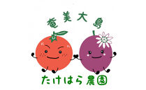 【2026年発送分&nbsp;先行受付】パッションフルーツ&nbsp;化粧箱15個入り(M玉)×２箱【たけはら農園】｜果物&nbsp;パッションフルーツ&nbsp;酸味&nbsp;甘み&nbsp;プチプチ&nbsp;奄美&nbsp;鹿児島&nbsp;美味しい&nbsp;旬&nbsp;南の島