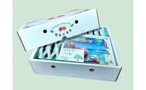 【2026年発送分&nbsp;先行受付】パッションフルーツ&nbsp;化粧箱15個入り(Ｍ玉)×3箱【たけはら農園】｜果物&nbsp;パッション&nbsp;フルーツ&nbsp;酸味&nbsp;甘み&nbsp;プチプチ&nbsp;奄美&nbsp;鹿児島&nbsp;美味しい&nbsp;旬&nbsp;南の島