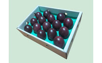 【2026年発送分&nbsp;先行受付】パッションフルーツ&nbsp;化粧箱15個入り(Ｍ玉)×3箱【たけはら農園】｜果物&nbsp;パッション&nbsp;フルーツ&nbsp;酸味&nbsp;甘み&nbsp;プチプチ&nbsp;奄美&nbsp;鹿児島&nbsp;美味しい&nbsp;旬&nbsp;南の島