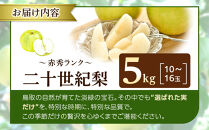 【2026年度発送&nbsp;先行予約】数量限定&nbsp;二十世紀梨&nbsp;5kg【梨&nbsp;なし&nbsp;二十世紀&nbsp;果物&nbsp;フルーツ&nbsp;5キロ&nbsp;新鮮&nbsp;鳥取県&nbsp;北栄町&nbsp;おすすめ&nbsp;人気】