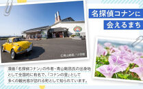 【2026年度発送先行予約】数量限定&nbsp;二十世紀梨&nbsp;3kg【梨&nbsp;なし&nbsp;二十世紀&nbsp;果物&nbsp;フルーツ&nbsp;3キロ&nbsp;新鮮&nbsp;鳥取県&nbsp;北栄町&nbsp;おすすめ&nbsp;人気】